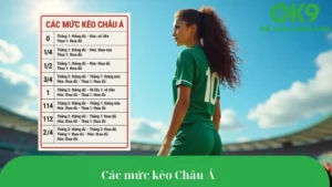 Bảng tỷ lệ kèo chấp Châu Á phổ biến và ý nghĩa từng mức chấp.