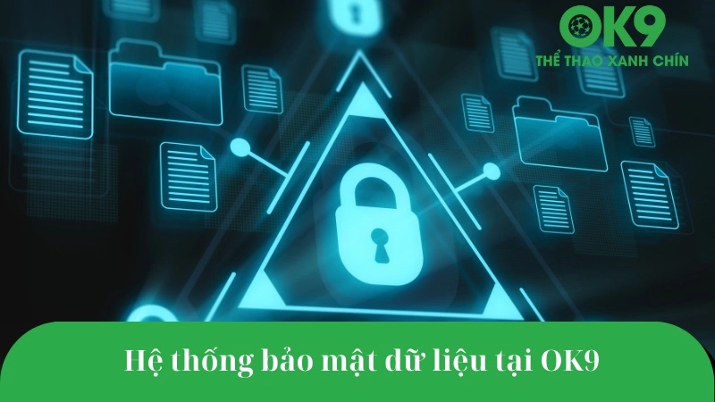 Hệ thống bảo mật dữ liệu người dùng tại OK9 bằng công nghệ SSL