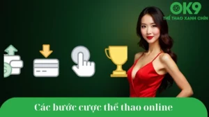 Hướng dẫn chi tiết cách tham gia cá cược thể thao trực tuyến OK9