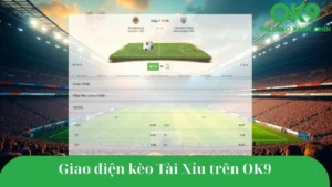 Kèo Tài Xỉu là gì? Cách chơi kèo Tài Xỉu tại OK9 đơn giản và hấp dẫn.