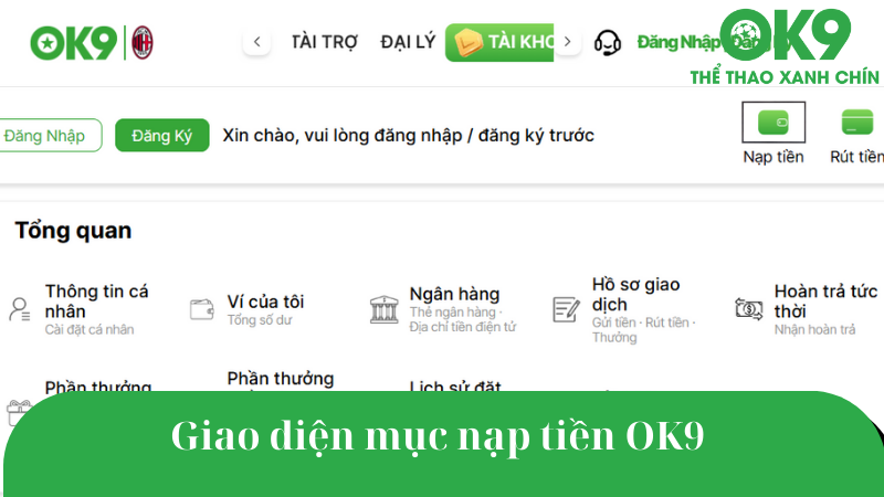 Giao diện nạp tiền OK9 nhanh chóng, trực quan.