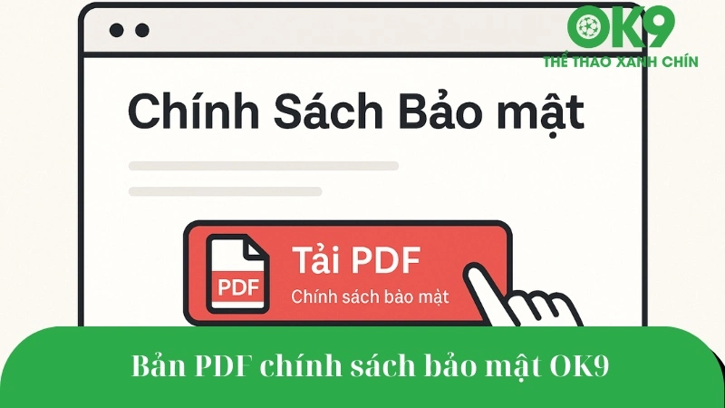 Nút tải về bản PDF chính sách bảo mật OK9